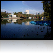 LAGO DE CHAPULTEPEC
