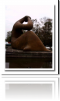Lomas De Chapultepec
