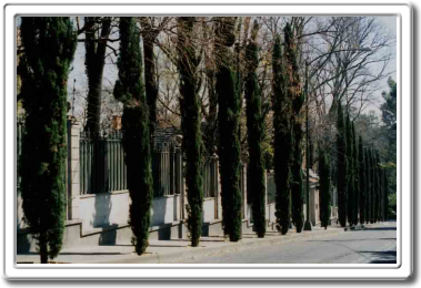 El Castillo en Lomas de Chapultepec
