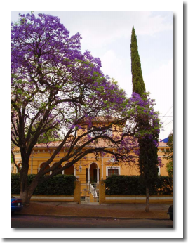 Lomas de Chapultepec Mexico Distrito Federal Colonia Lomas De Chapultepec Delegacion Miguel Hidalgo, codigo postal 11000 2