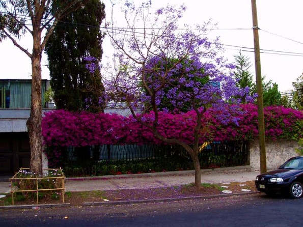 Lomas de Chapultepec Mexico Distrito Federal Colonia Lomas De Chapultepec Delegacion Miguel Hidalgo, codigo postal 11000 4