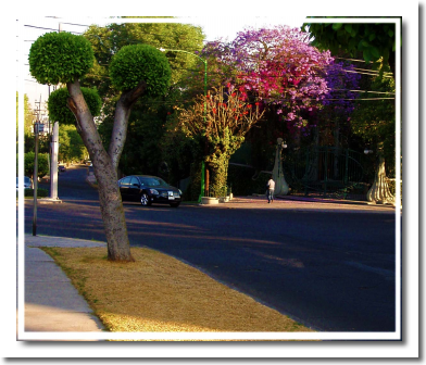 Lomas de Chapultepec Mexico Distrito Federal Colonia Lomas De Chapultepec Delegacion Miguel Hidalgo, codigo postal 11000 4444