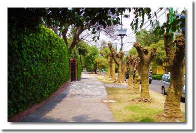 Lomas de Chapultepec Mexico Distrito Federal Colonia Lomas De Chapultepec Delegacion Miguel Hidalgo, codigo postal 11000 456