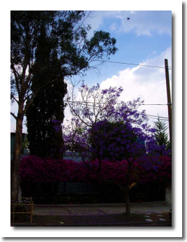 Lomas de Chapultepec Mexico Distrito Federal Colonia Lomas De Chapultepec Delegacion Miguel Hidalgo, codigo postal 11000 5