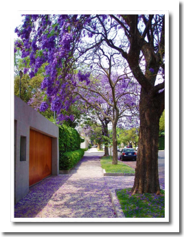 Lomas de Chapultepec Mexico Distrito Federal Colonia Lomas De Chapultepec Delegacion Miguel Hidalgo, codigo postal 11000 555