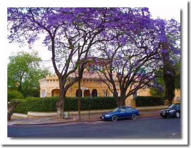 Lomas de Chapultepec Mexico Distrito Federal Colonia Lomas De Chapultepec Delegacion Miguel Hidalgo, codigo postal 11000 6