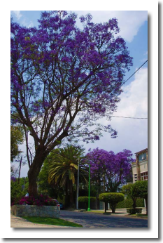 Lomas de Chapultepec Mexico Distrito Federal Colonia Lomas De Chapultepec Delegacion Miguel Hidalgo, codigo postal 11000 667