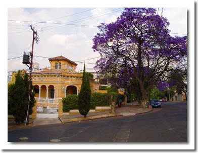Lomas de Chapultepec Mexico Distrito Federal Colonia Lomas De Chapultepec Delegacion Miguel Hidalgo, codigo postal 11000 7