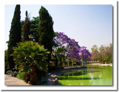 Lomas de Chapultepec Mexico Distrito Federal Colonia Lomas De Chapultepec Delegacion Miguel Hidalgo, codigo postal 11000 8