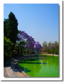 Lomas de Chapultepec Mexico Distrito Federal Colonia Lomas De Chapultepec Delegacion Miguel Hidalgo, codigo postal 11000 99