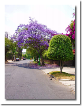 Lomas de Chapultepec Mexico Distrito Federal Colonia Lomas De Chapultepec Delegacion Miguel Hidalgo, codigo postal 11000 bb