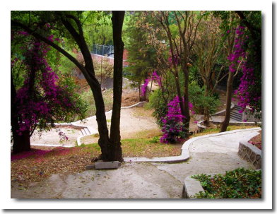 Lomas de Chapultepec Mexico Distrito Federal Colonia Lomas De Chapultepec Delegacion Miguel Hidalgo, codigo postal 11000 n