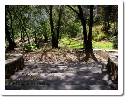 PARQUES LOMAS DE CHAPULTEPEC