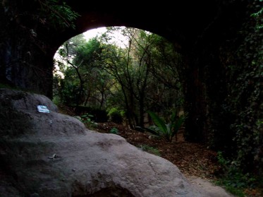 ABAJO DEL PUENTE
