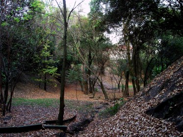 PARQUES LOMAS