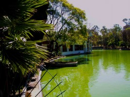 LAGO MENOR  CHAPULTEPEC