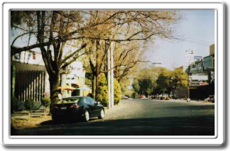 Centro Comercial Lomas de Chapultepec